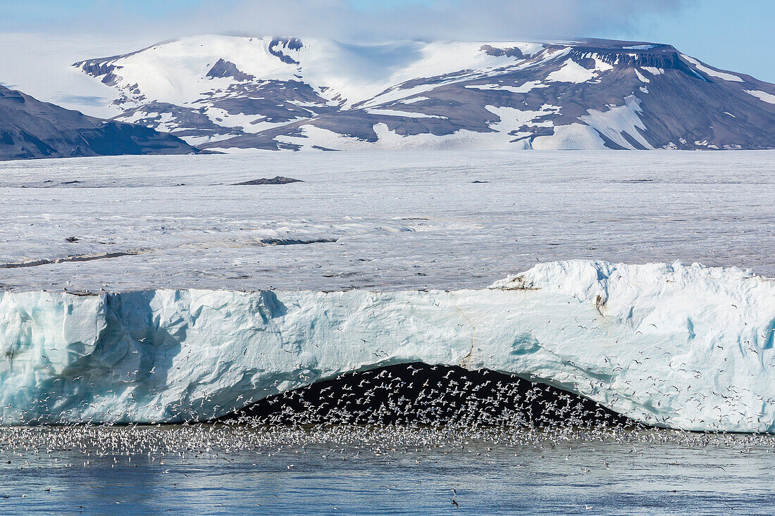 Negribreen (Negri Glacier), Olav V Land, Spitsbergen, Svalbard Archipelago, Norway, Scandinavia, Europe