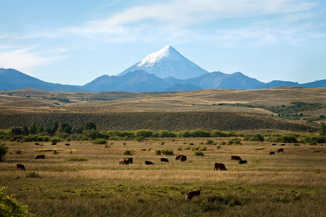 View over Lanin volcano, Lanin National Park, Patagonia, Argentina, South America