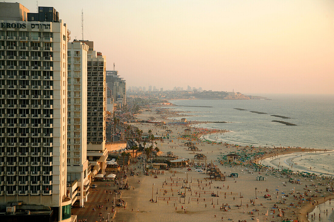 View over the skyline and beaches of Tel Aviv, Israel, Middle East