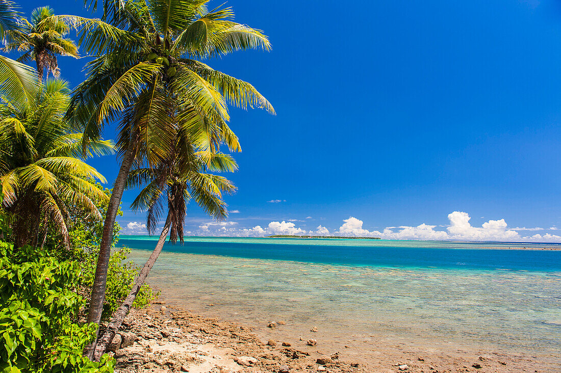 Coast around Merizo and its coral reef, Guam, US Territory, Central Pacific, Pacific