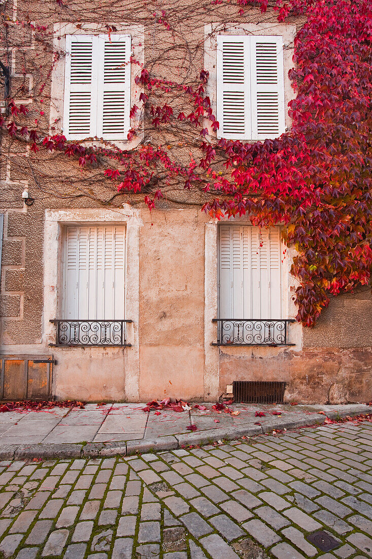 Autumn leaves in Noyers-sur-Serein, one the Beaux Villages de France, Yonne, Burgundy, France, Europe