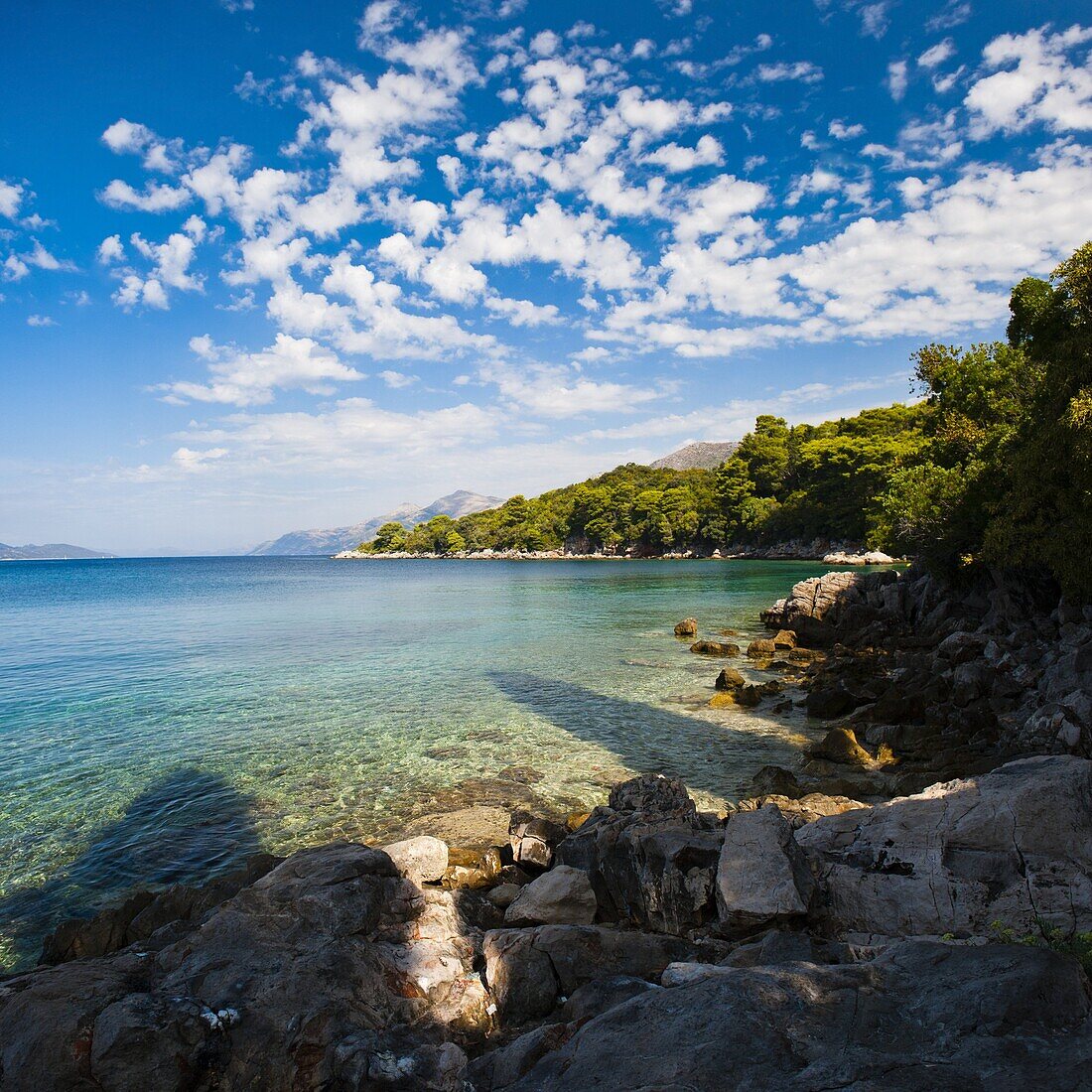 Kolocep Island (Kalamota), Elaphiti Islands (Elaphites), Dalmatian Coast, Adriatic Sea, Croatia, Europe