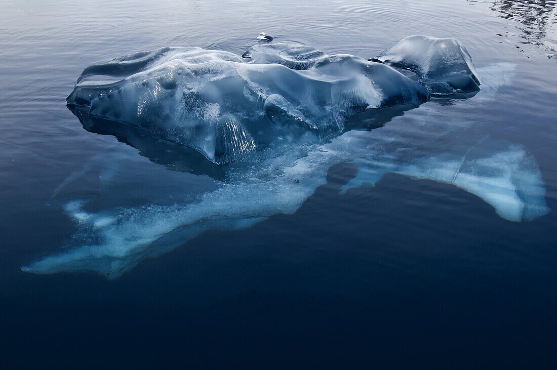 Black ice, Bahia Paraiso (Paradise Bay), Antarctic Peninsula, Antarctica, Polar Regions