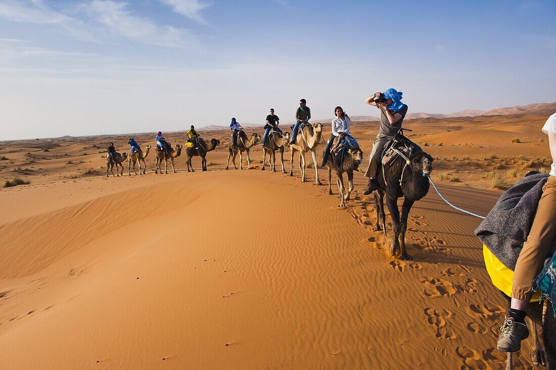 Tourists on a camel ride in Erg Chebbi Desert, Sahara Desert near Merzouga, Morocco, North Africa, Africa