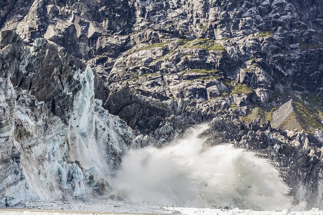 Johns Hopkins Glacier calving, Fairweather Range, Glacier Bay National Park and Preserve, Southeast Alaska, United States of America, North America