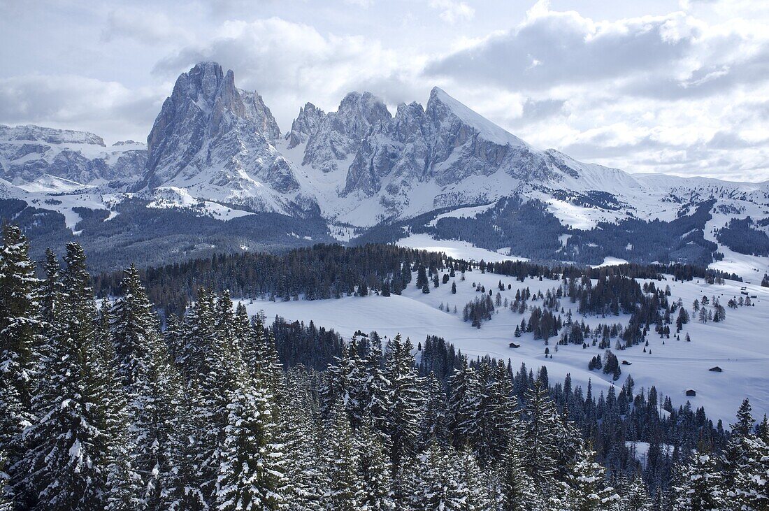 A snowy view of Sassolungo and Sassopiato Mountains behind the Alpe di Siusi ski area in the Dolomites, South Tyrol, Italy, Europe
