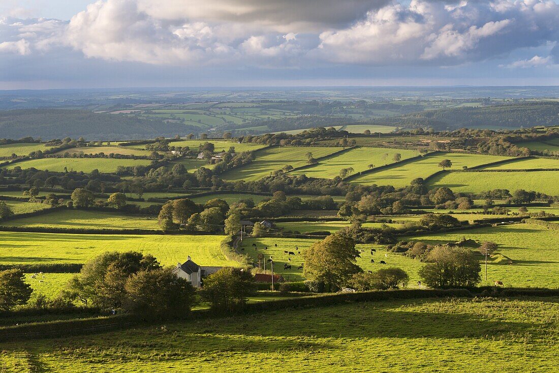 Rolling Dartmoor countryside, Brentor, Devon, England, United Kingdom, Europe