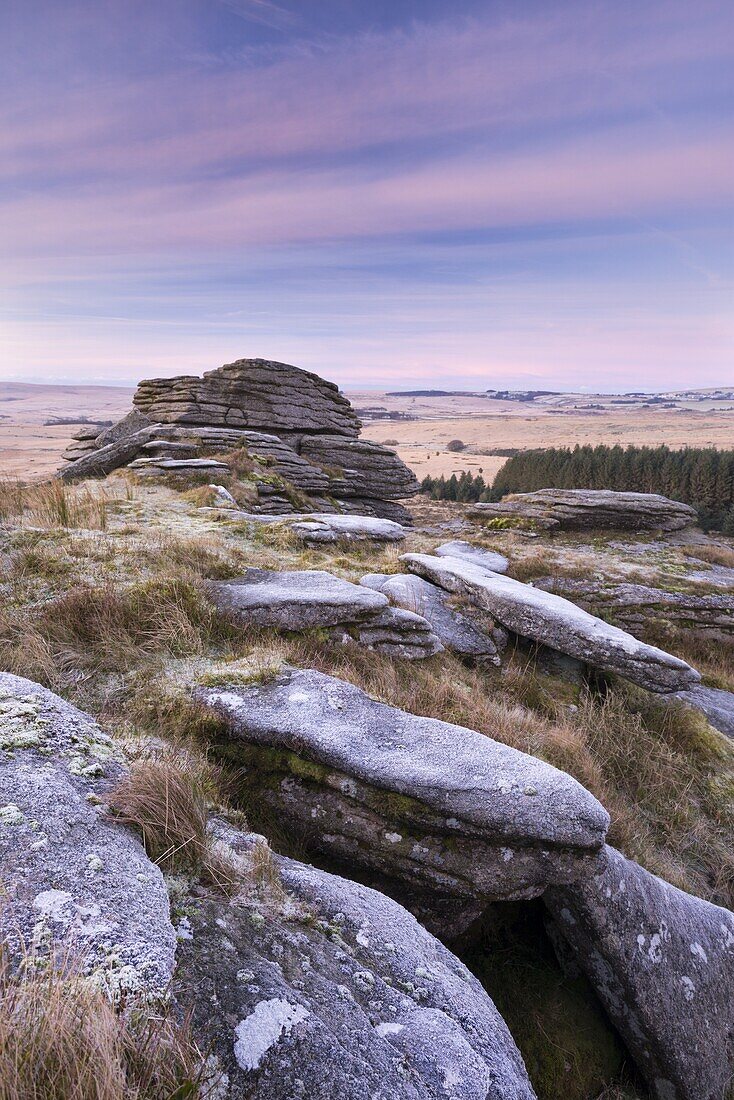 Frosty morning at Bellever Tor, Dartmoor National Park, Devon, England, United Kingdom, Europe