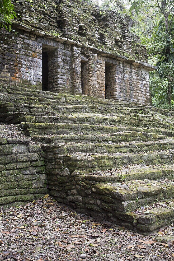 Yaxchilan Archaeological Zone, Chiapas, Mexico, North America