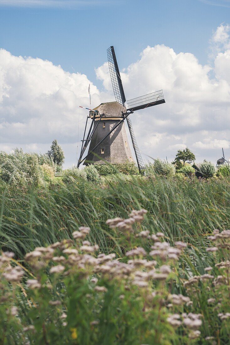 Canal and windmills, Kinderdijk, UNESCO World Heritage Site, South Holland, The Netherlands, Europe