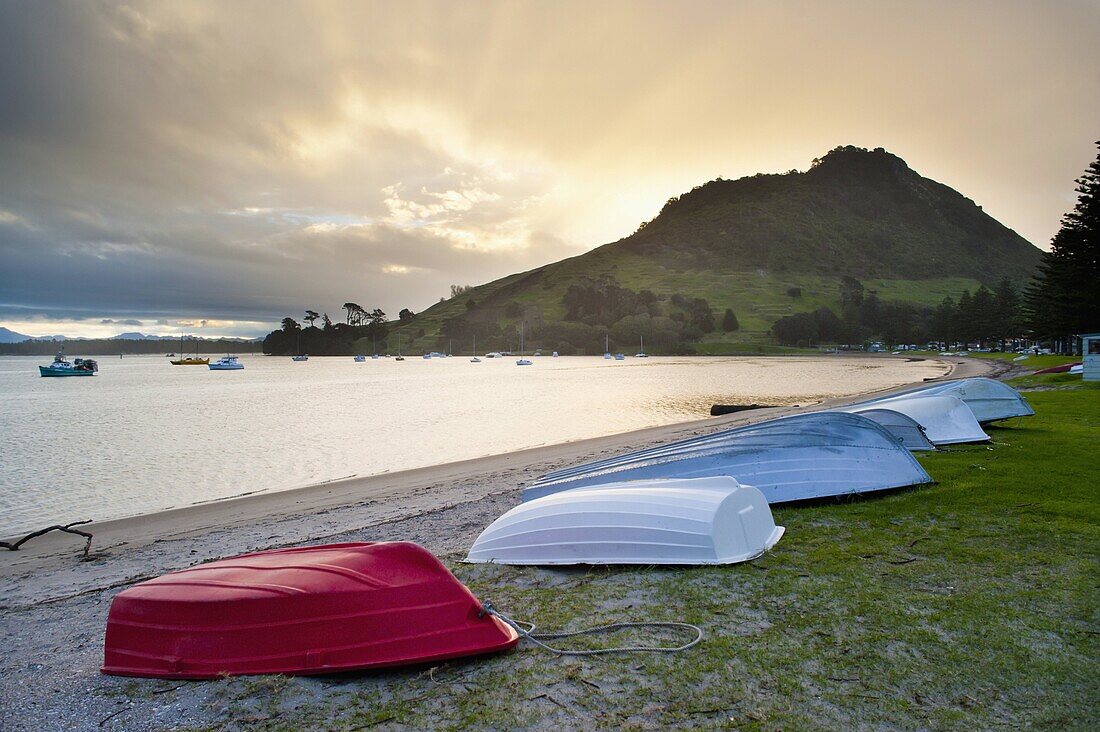Boats at Mount Maunganui at sunset, Tauranga, North Island, New Zealand, Pacific