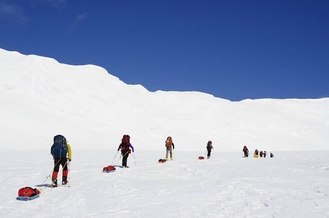 Climbing expedition on Mt McKinley, 6194m, Denali National Park, Alaska, United States of America, North America