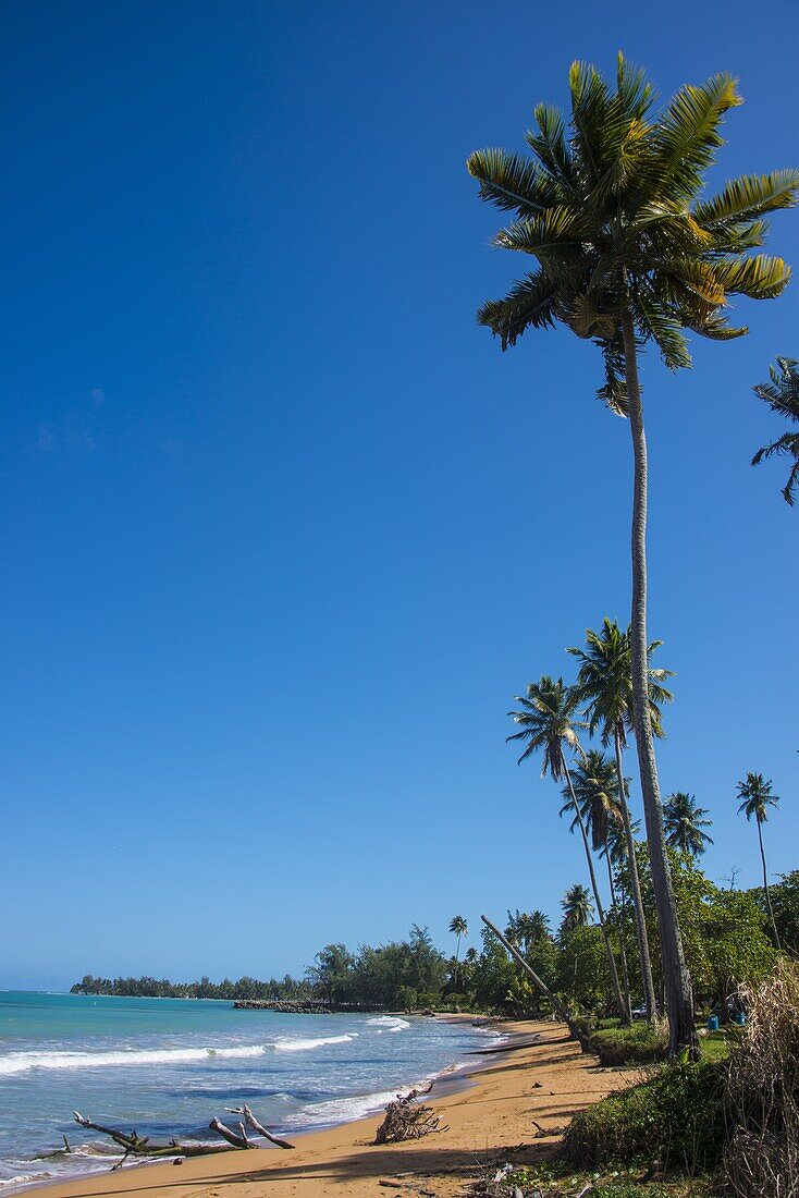 Luquillo Beach, Puerto Rico, West Indies, Caribbean, Central America