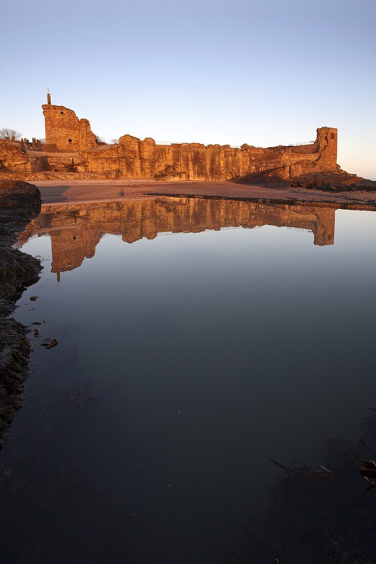 St. Andrews Castle at dawn, Fife, Scotland, United Kingdom, Europe