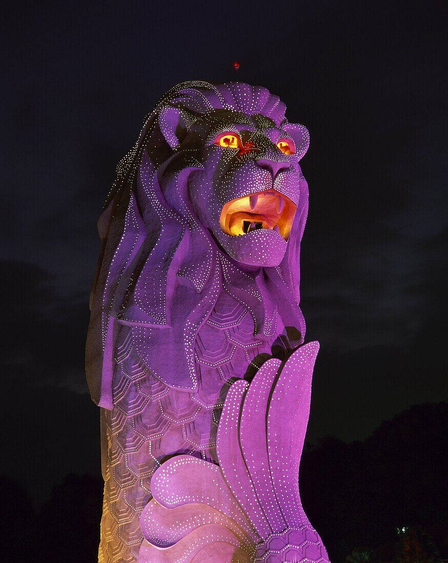 The Merlion statue, the symbol of Singapore, in purple light at night in Singapore, Southeast Asia, Asia