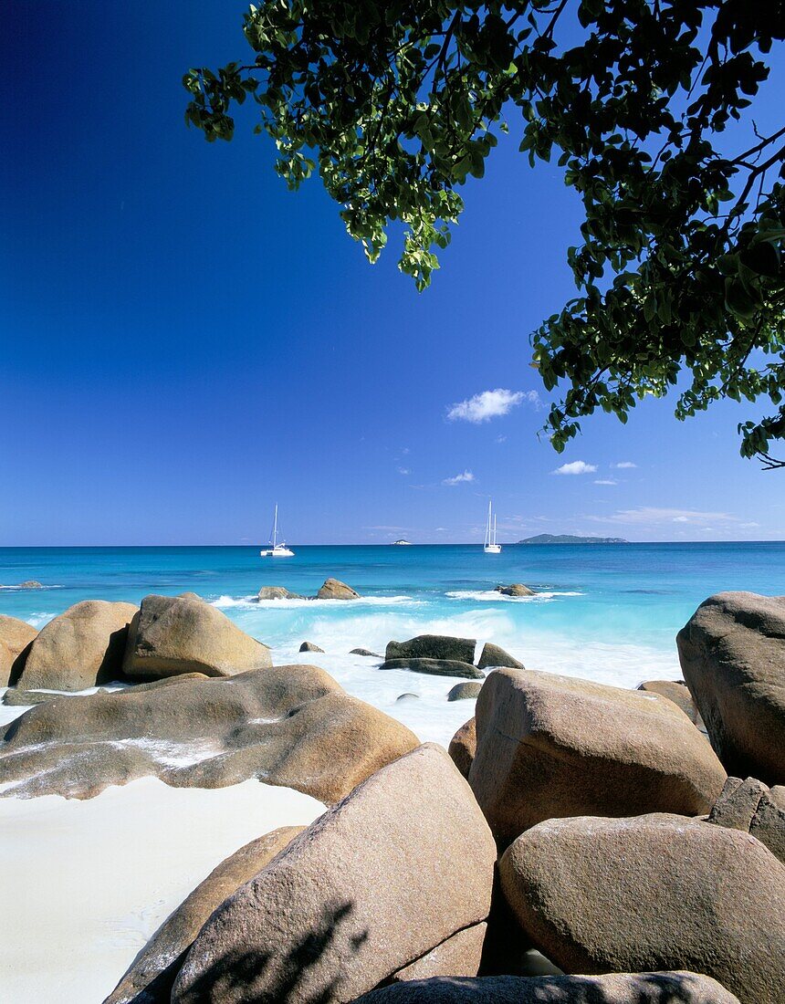 Beach, Anse Lazio, island of Praslin, Seychelles, Indian Ocean, Africa