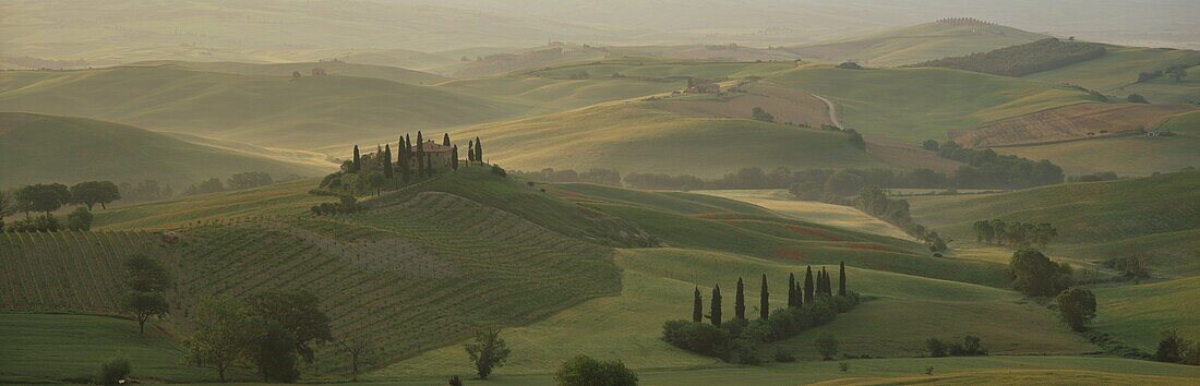 Morning view across Val d'Orcia to The Belvedere, near San Quirico d'Orcia, Tuscany, Italy, Europe
