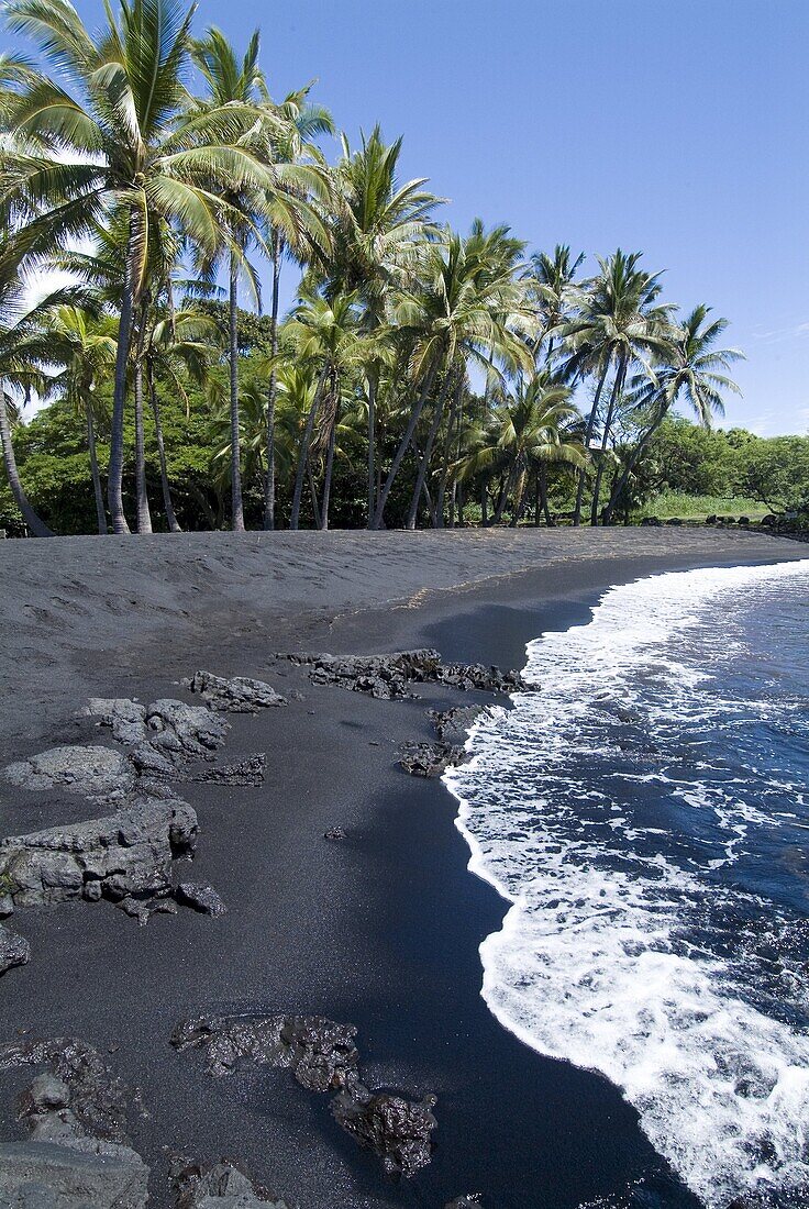 Punaluu Black Sand Beach, Island of Hawaii (Big Island), Hawaii, United States of America, Pacific, North America