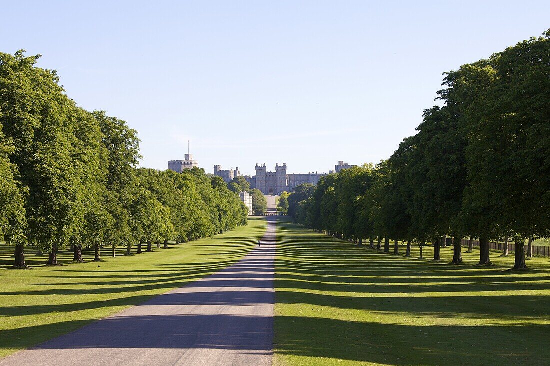 The Long Walk and Windsor Castle, Windsor, Berkshire, England, United Kingdom, Europe