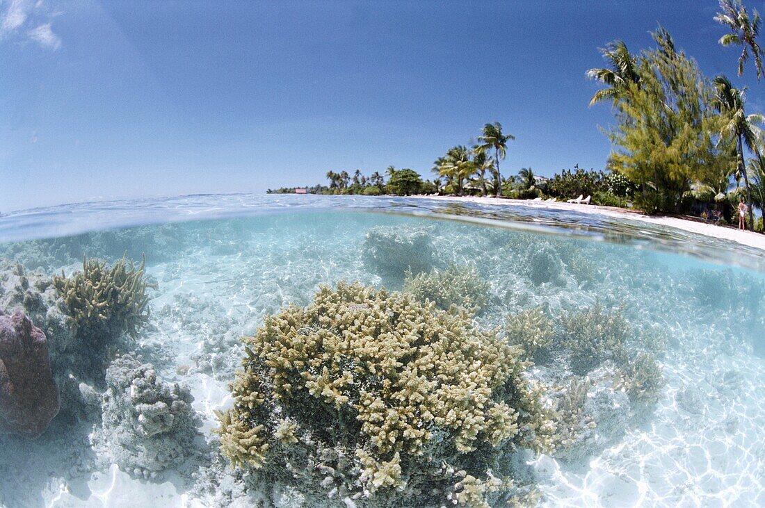 Fakarawa, Tuamotu archipelago, French Polynesia, Pacific Islands, Pacific