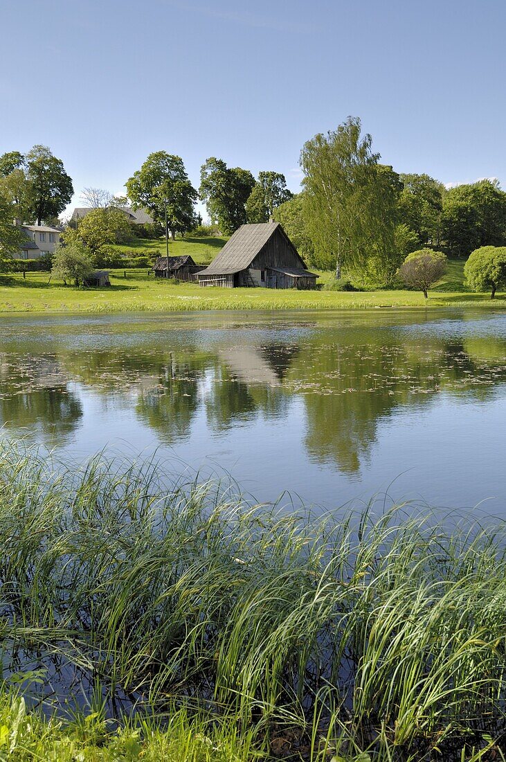 Ponds and traditional buildings, Turaida Museum Reserve, near Sigulda, Latvia, Baltic States, Europe