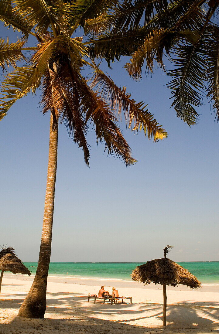 Thatched beach umbrellas and traditional sunbeds made from coconut wood on the beach at Paje, Zanzibar, Tanzania, East Africa, Africa