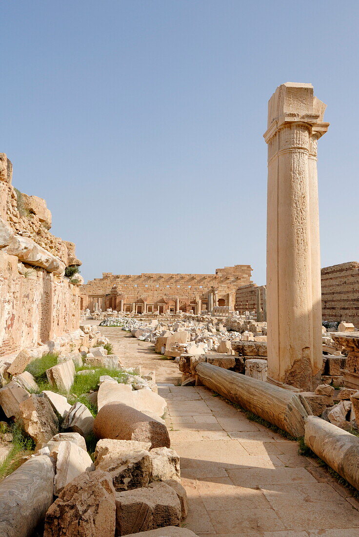 Via colonnata, Leptis Magna, UNESCO World Heritage Site, Libya, North Africa, Africa