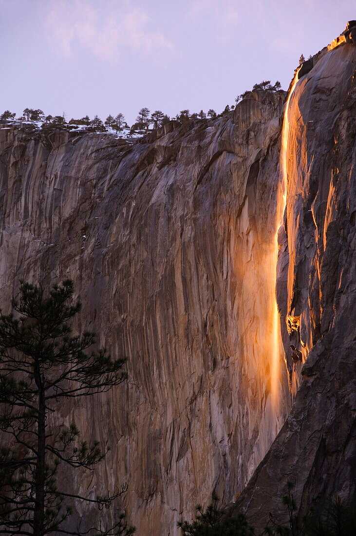 Afternoon light on Horsetail Falls, an occurence that happens once or twice a year in late February due to the angle of the sun and snow melt on the cliffs, Yosemite Valley, Yosemite National Park, UNESCO World Heritage Site, California, United States of