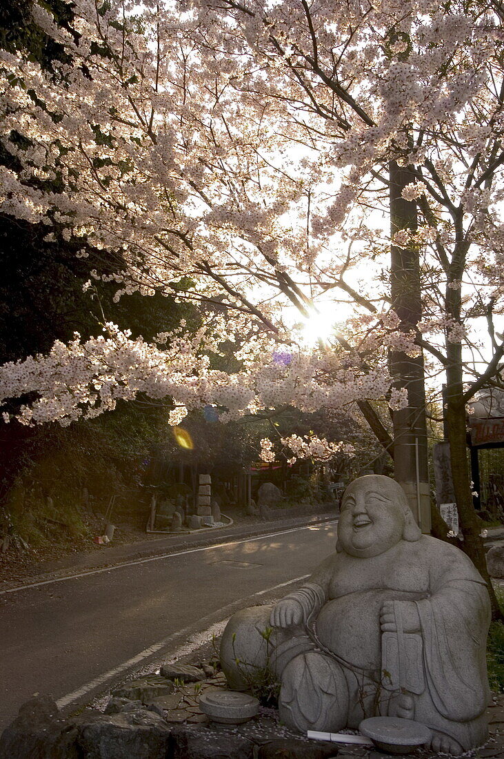 Buddha statue, spring cherry blossom, Ishiteji temple, Matsuyama city, Ehime prefecture, Shikoku Island, Japan, Asia