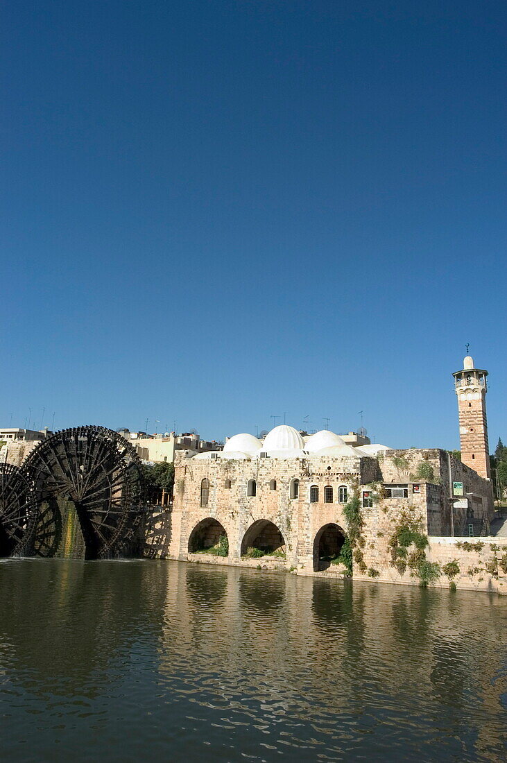Mosque and water wheels on the Orontes River, Hama, Syria, Middle East