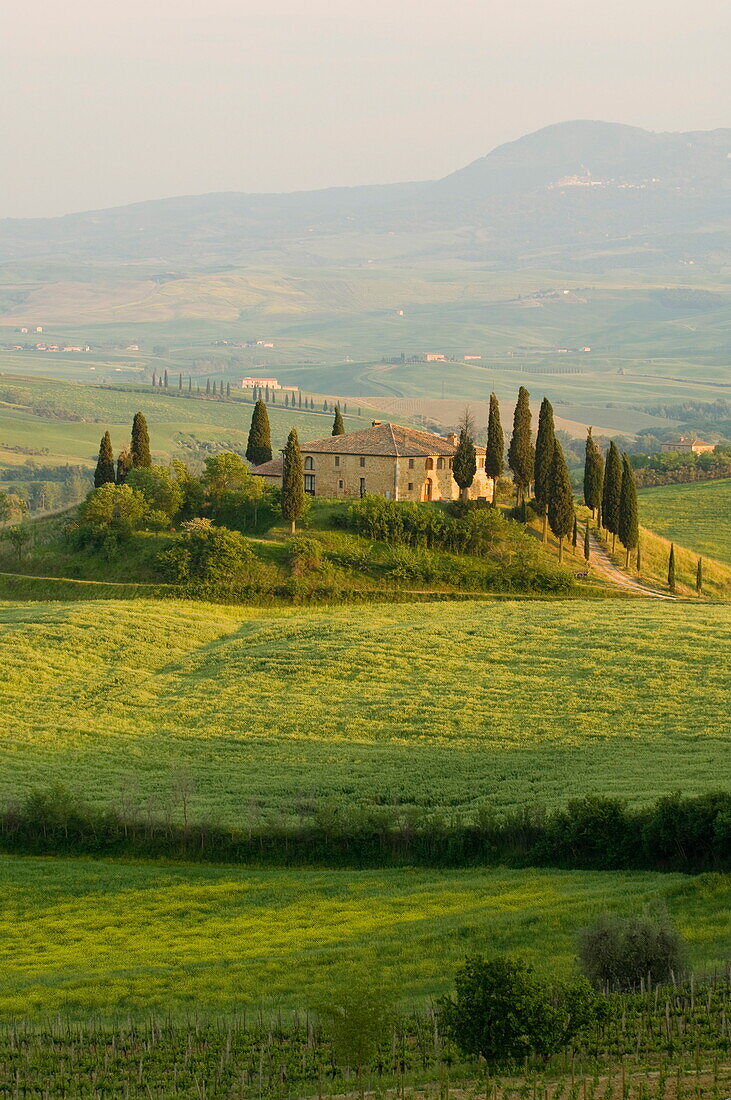 Country house, Il Belvedere, San Quirico d'Orcia, Val d'Orcia, Siena province, Tuscany, Italy, Europe