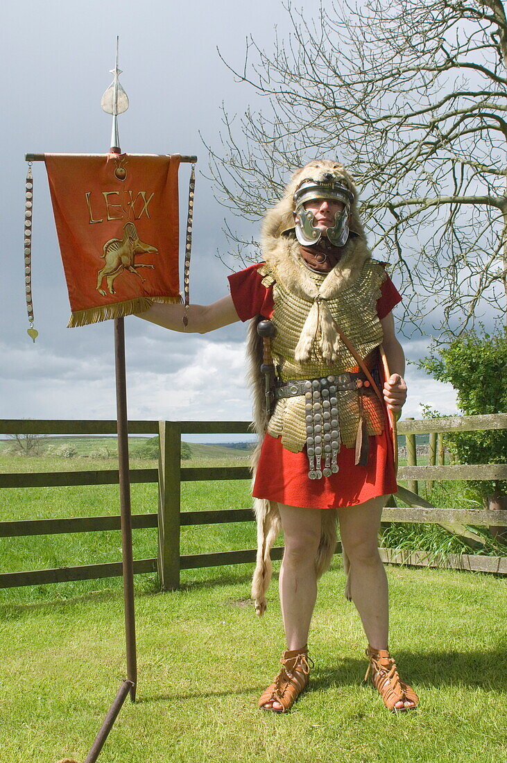 Roman Standard Bearer, Ermine Street Guard, Birdoswald Roman Fort, Hadrians Wall, Northumbria, England, United Kingdom, Europe