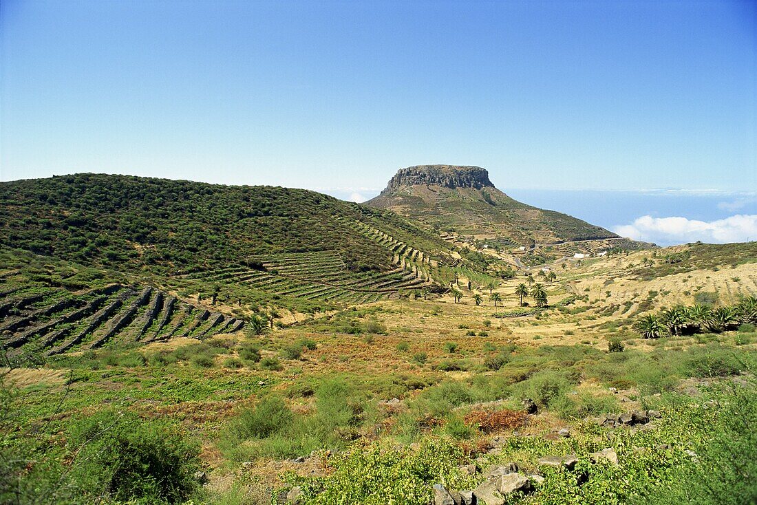 Area between Erquito and Las Hayas, La Gomera, Canary Islands, Spain, Atlantic, Europe