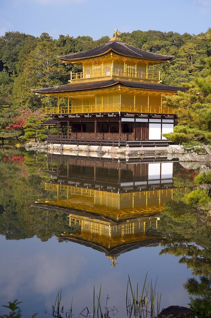 Kinkaku-ji (Golden Pavilion), original building constructed in 1397 for Shogun Ashikaga Yoshimitsu, UNESCO World Heritage Site, Kyoto, Kansai Region, Honshu, Japan, Asia