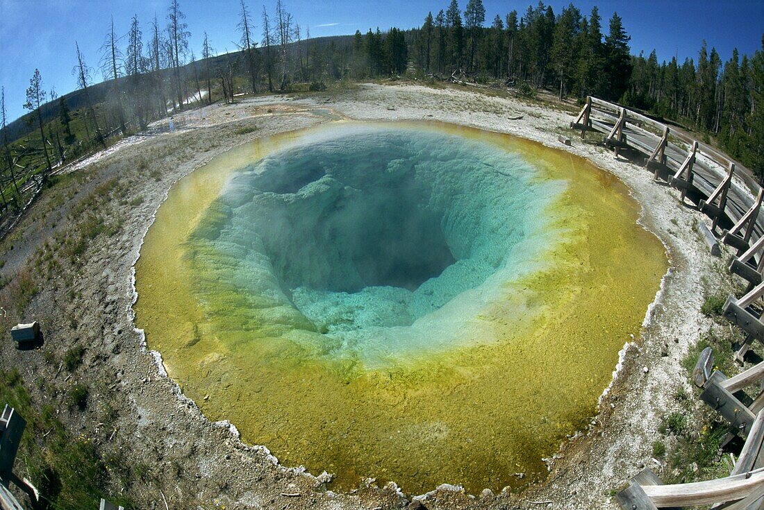The Morning Glory Pool, Yellowstone National Park, UNESCO World Heritage Site, Wyoming, United States of America, North America