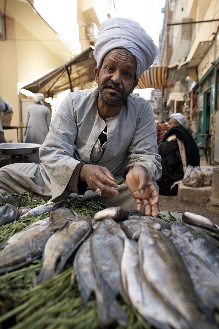 Selling fish at Luxor Souq, Egypt, North Africa, Africa