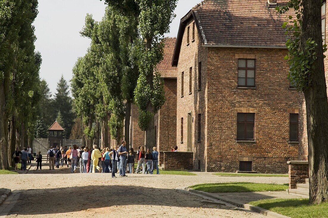 Auschwitz concentration camp, now a memorial and museum, UNESCO World Heritage Site, Oswiecim, near Krakow (Cracow), Poland, Europe