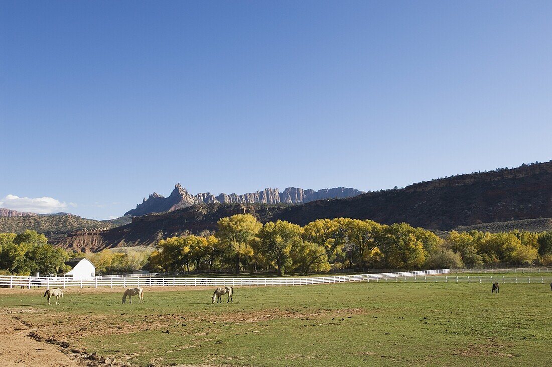 Landscape near Zion National Park, Utah, United States of America, North America