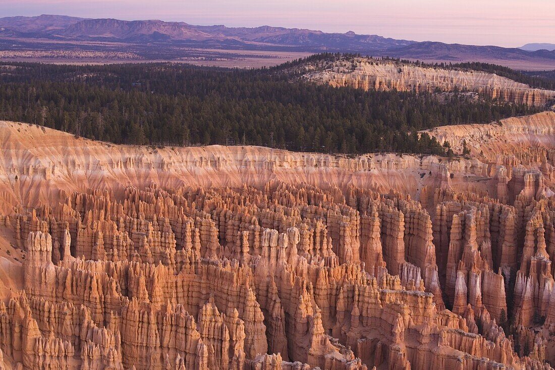View from Sunrise Point at sunrise, Bryce Canyon National Park, Utah, United States of America, North America
