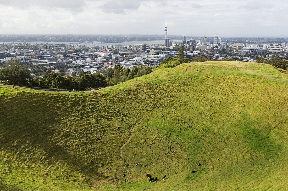 Panoramic city view from Mount Eden Volcanic Crater, Auckland, North Island, New Zealand, Pacific