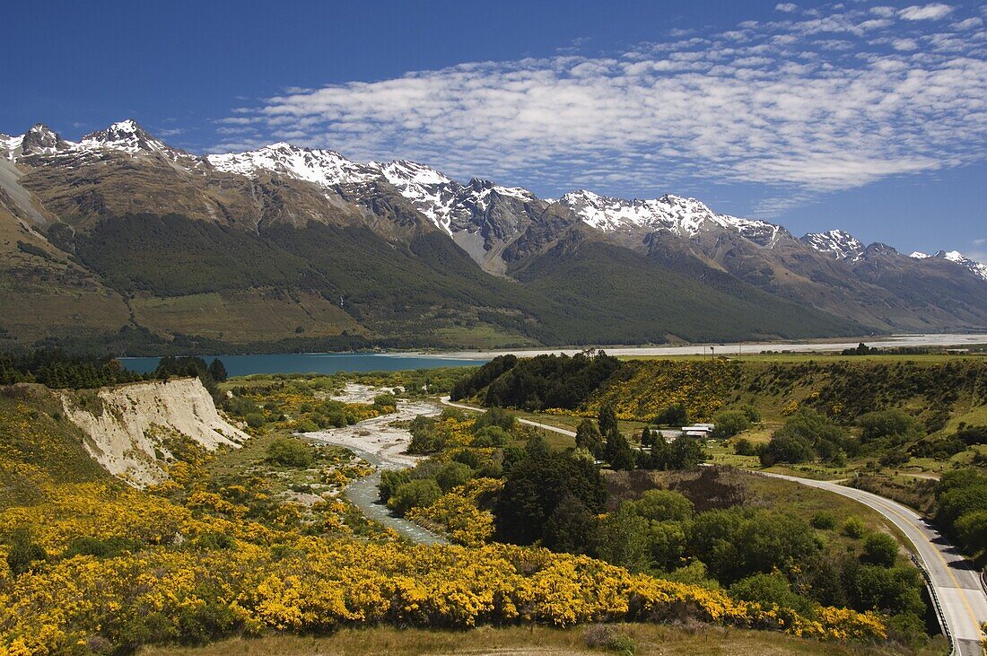 Bright summer flowers and snow capped mountains near Queenstown, Otago, South Island, New Zealand, Pacific