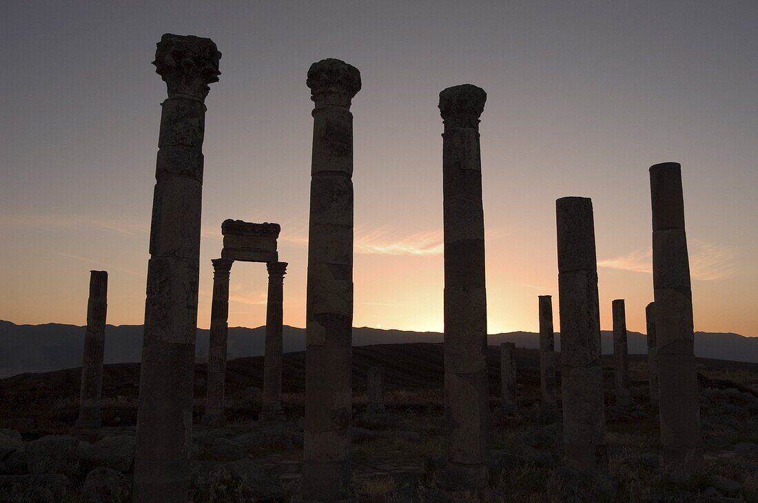 Archaelogical site at sunset, Apamea (Qalat at al-Mudiq), Syria, Middle East