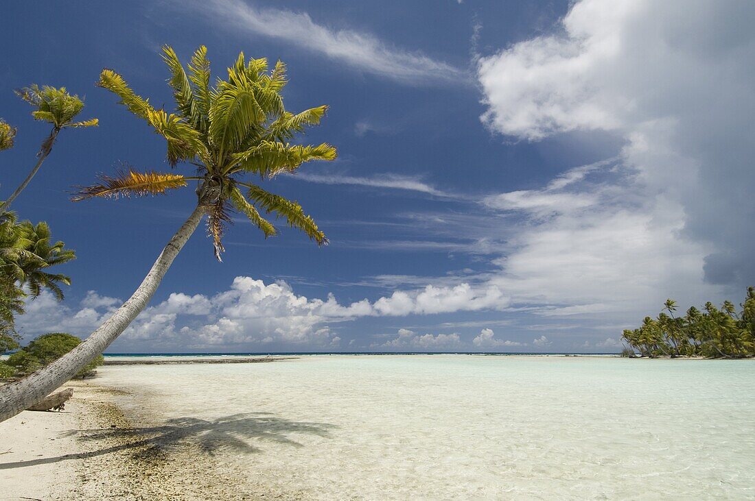 Blue Lagoon, Rangiroa, Tuamotu Archipelago, French Polynesia, Pacific Islands, Pacific