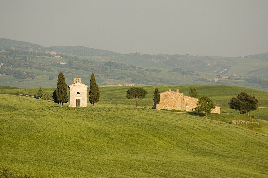 Cappella di Vitaleta (Vitaleta Chapel) near Pienza, Val d'Orcia, Siena province, Tuscany, Italy, Europe