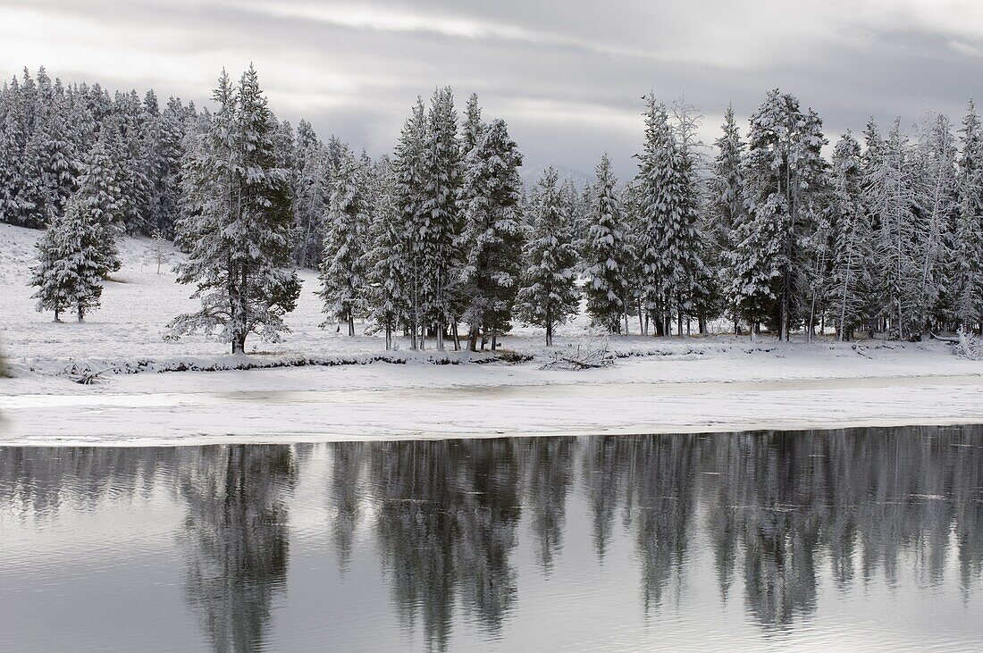 Yellowstone River in winter, Yellowstone National Park, UNESCO World Heritage Site, Wyoming, United States of America, North America