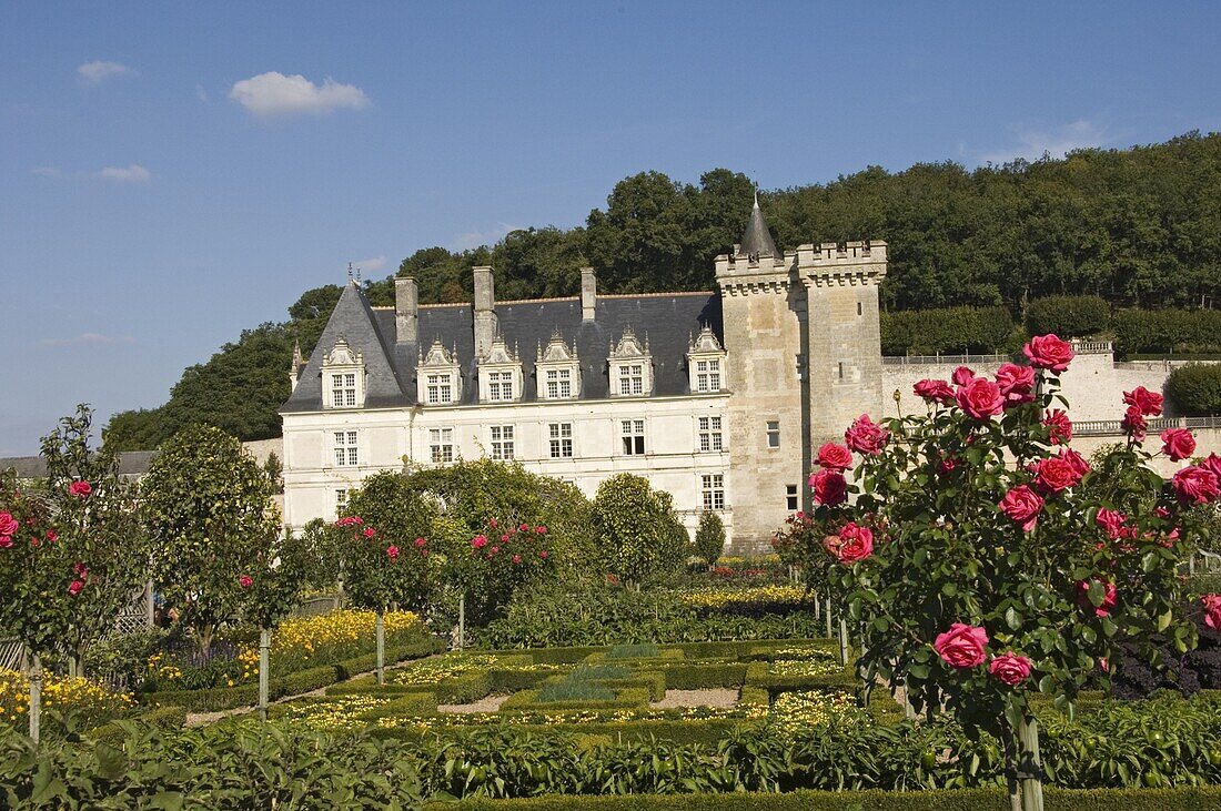 The Chateau de Villandry, UNESCO World Heritage Site, Indre-et-Loire, Loire Valley, France, Europe