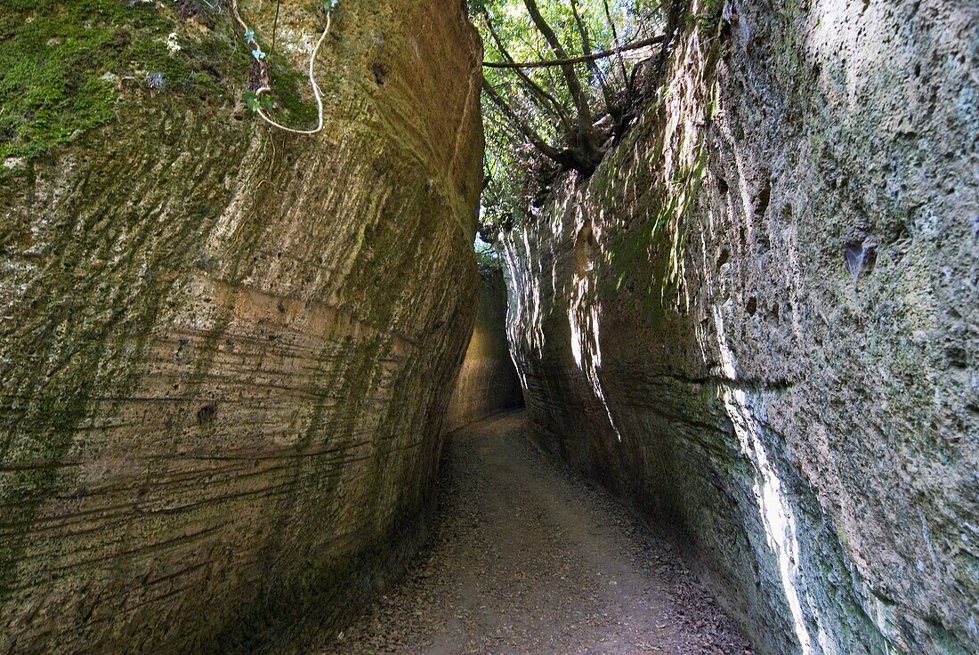 Etruscan Hollow Road of Poggio Prisca, Etruscan Necropolis of Sovana, Sovana, Grosseto, Tuscany, Italy, Europe