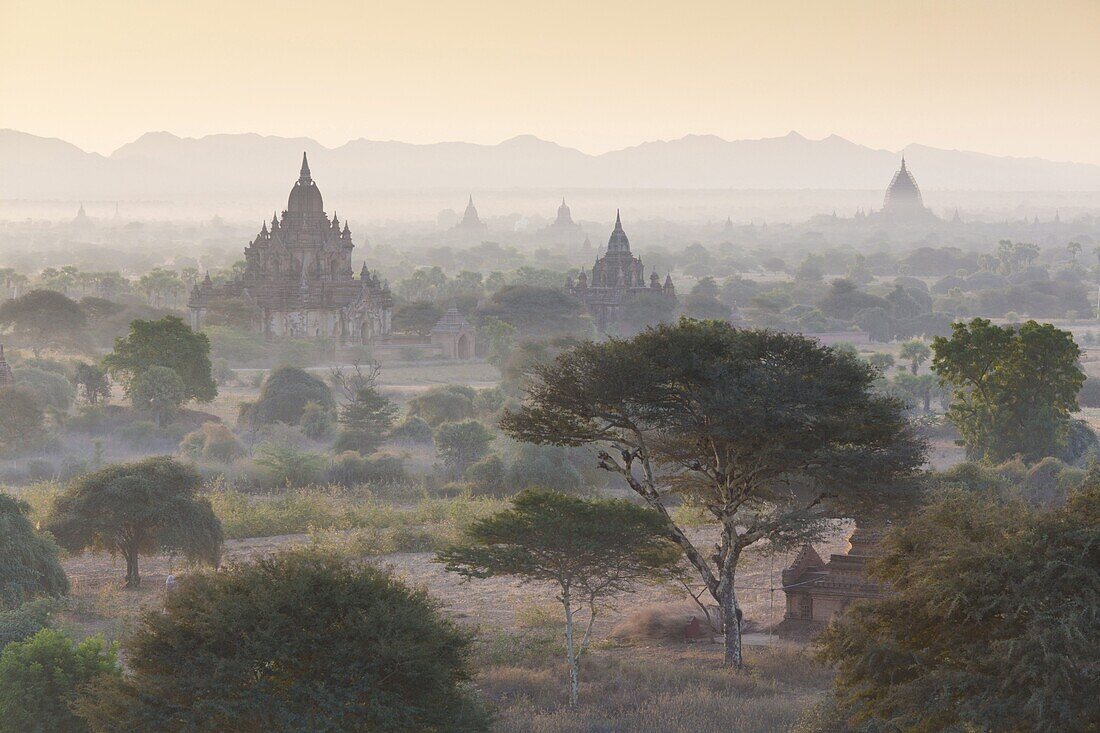 View over the temples of Bagan swathed in early morning mist, from Shwesandaw Paya, Bagan, Myanmar (Burma), Southeast Asia