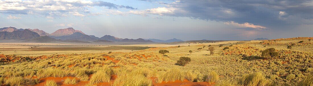 Panoramic view over the magnificent desert landscape of the Namib Rand game reserve bathed in evening light, Namib Naukluft Park, Namibia, Africa