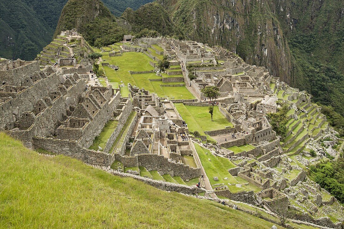 Machu Picchu, UNESCO World Heritage Site, near Aguas Calientes, Peru, South America
